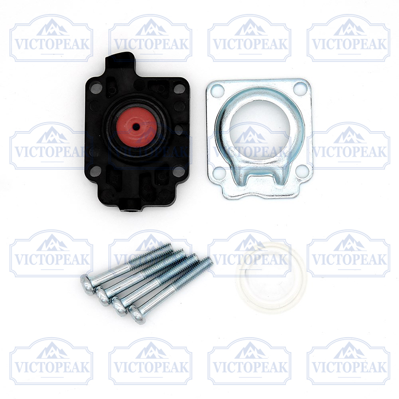 Gardening Tools Repair - Kit de Reparación de Carburador 40-5