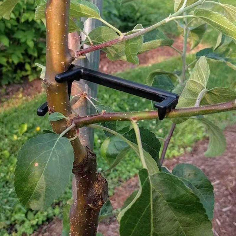 Root Watering Spike - Extractor de ramas de árboles frutales,