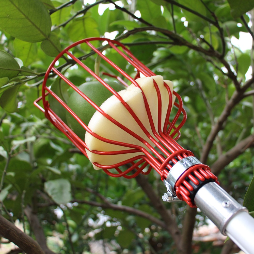 Gardening Tools Hand - Cabezal recolector de frutas de Metal/plástico