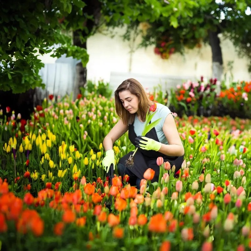 Rastrillo de jardín 2 en 1, he - Gardening Tools Shovel reseña y precio