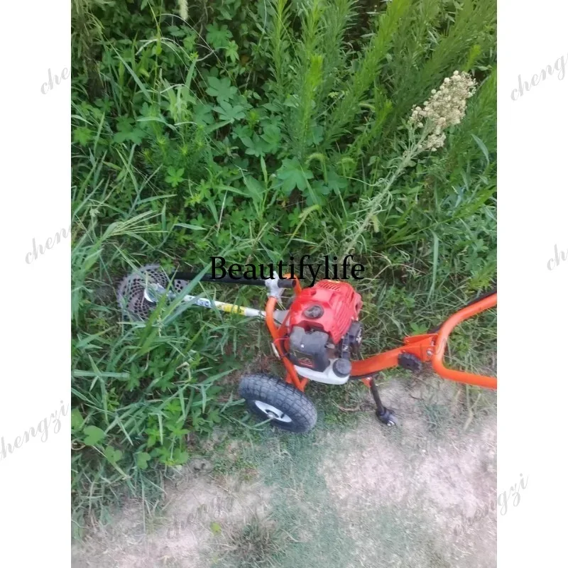 Cortadora de césped manual L17 - Gardening Tools Hand reseña y precio