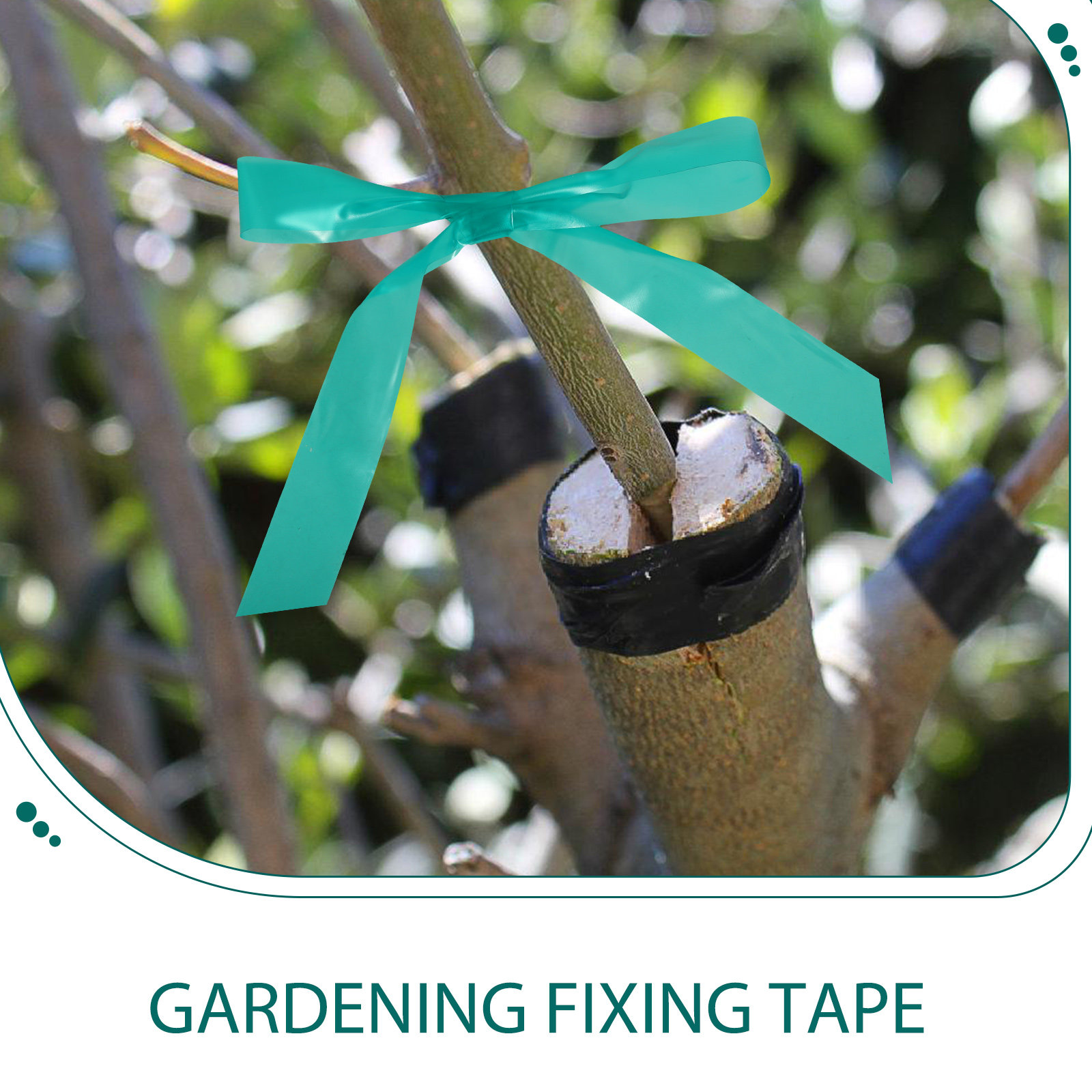 2 rollos de cinta de injertar  - Gardening Tools Repair reseña y precio