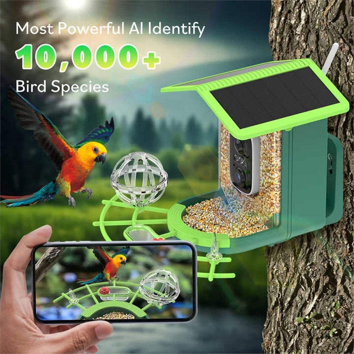 Cámara Inteligente para Pájaro - Gardening Tools Video reseña y precio