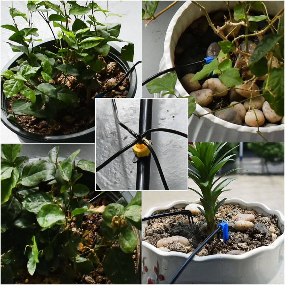Juego de riego por goteo de fl - Root Watering Spike reseña y precio