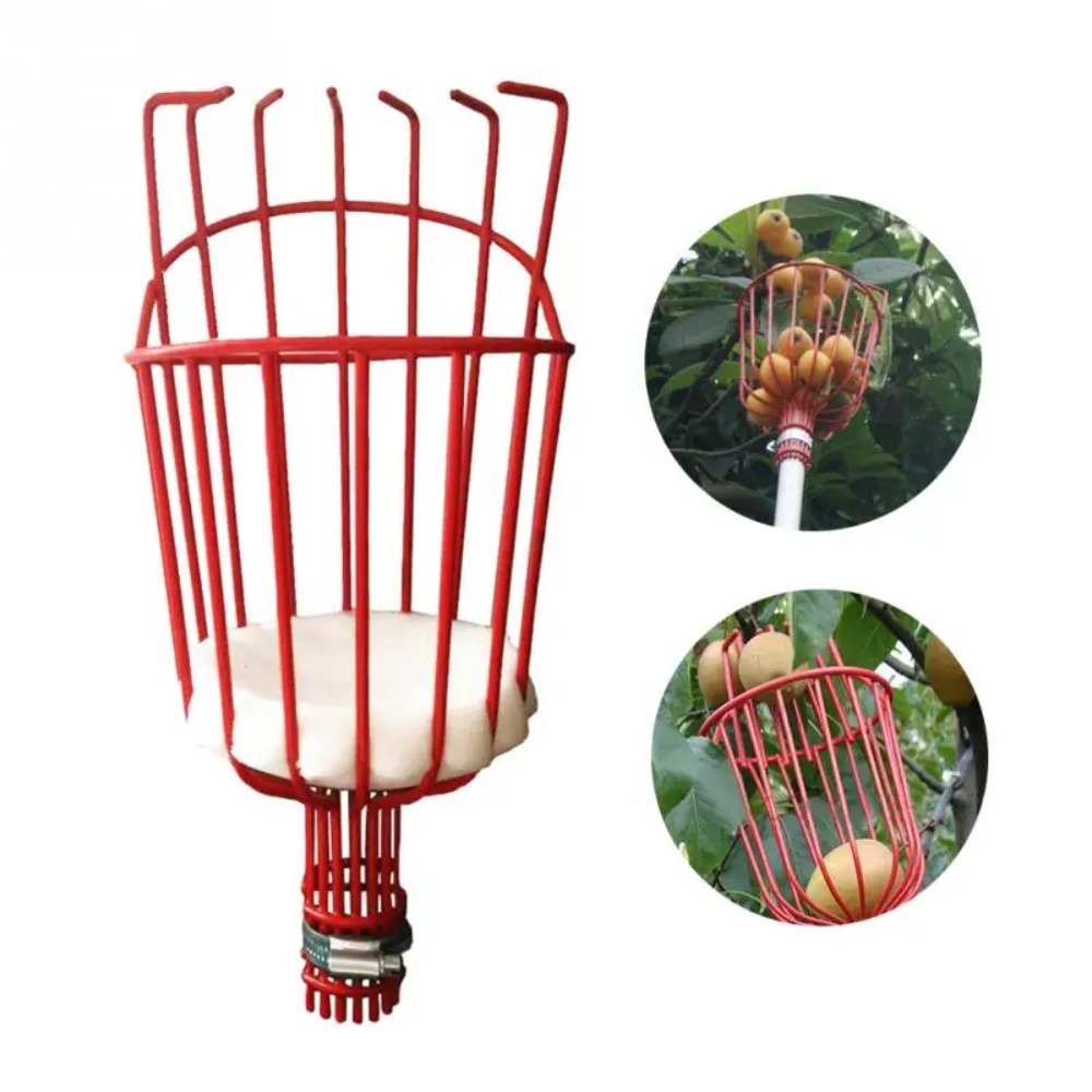 Cabezal recolector de frutas d - Gardening Tools Hand reseña y precio