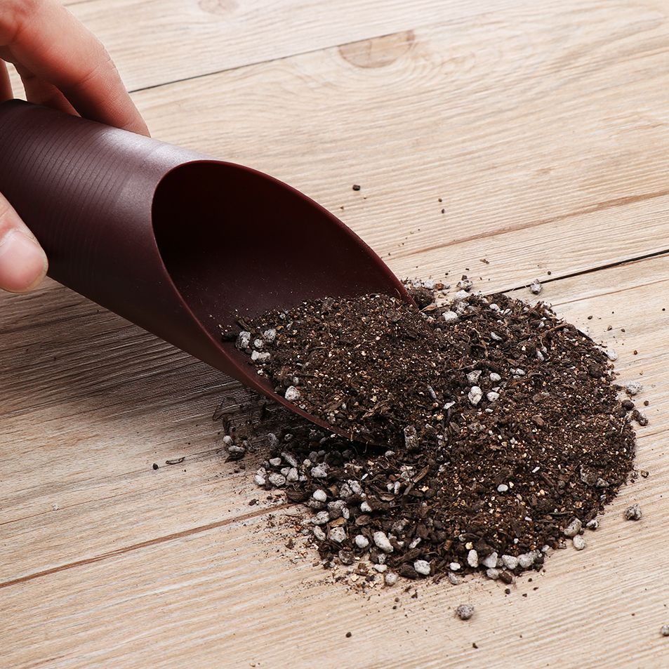Pala de suelo de plástico para - Gardening Tools Shovel reseña y precio
